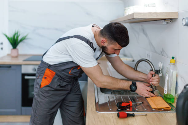 Best Local Plumber Services  in Colonial Heights, TN