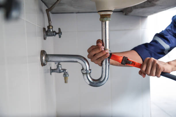 Best Local Plumber Services  in Colonial Heights, TN